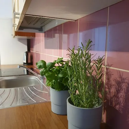 Apartament Bretowska Brama Iv Διαμέρισμα *
